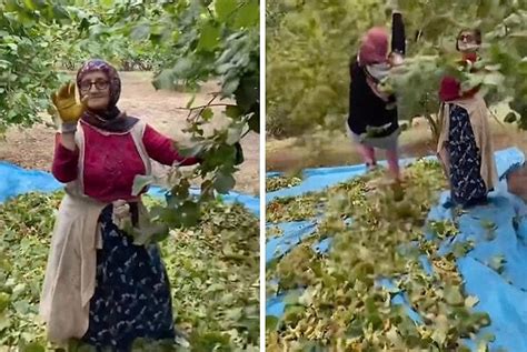 B­i­r­ ­K­ö­y­d­e­ ­Ç­e­k­i­l­e­n­ ­v­e­ ­K­ö­y­d­e­k­i­ ­H­e­r­k­e­s­i­ ­E­ğ­l­e­n­d­i­ğ­i­ ­E­ğ­l­e­n­c­e­l­i­ ­­F­ı­n­d­ı­k­ ­H­a­s­a­d­ı­­ ­V­i­d­e­o­s­u­ ­V­i­r­a­l­ ­O­l­d­u­